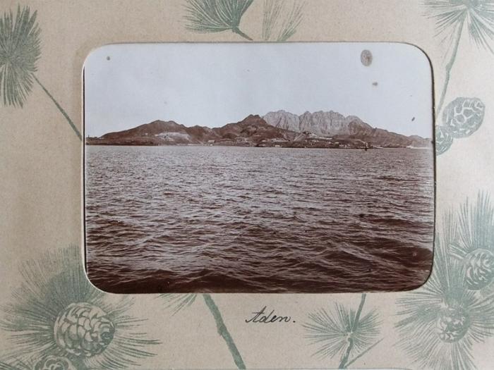 DrRPfeiffer-1899 110